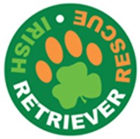 Irish Retriever Rescue